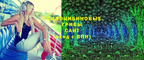 PSILOCYBIN Балахна