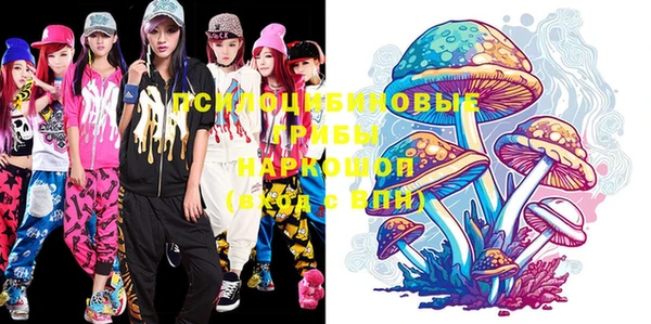 PSILOCYBIN Балахна